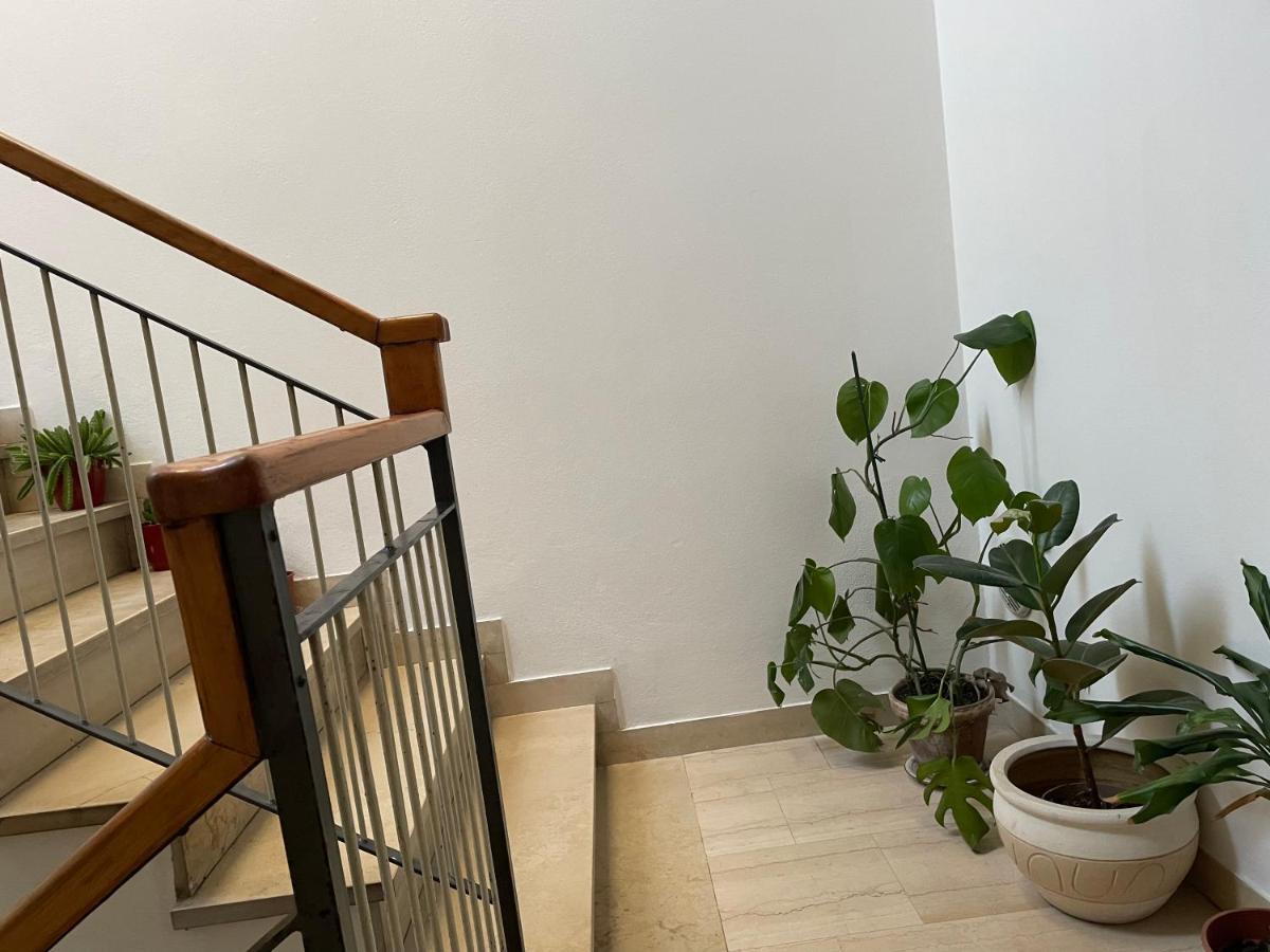 Romagna Apartments Massa Lombarda Exterior photo